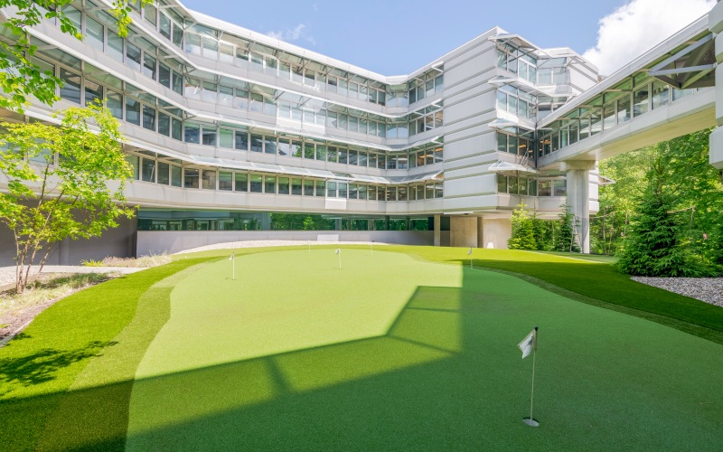 outdoor putting green space