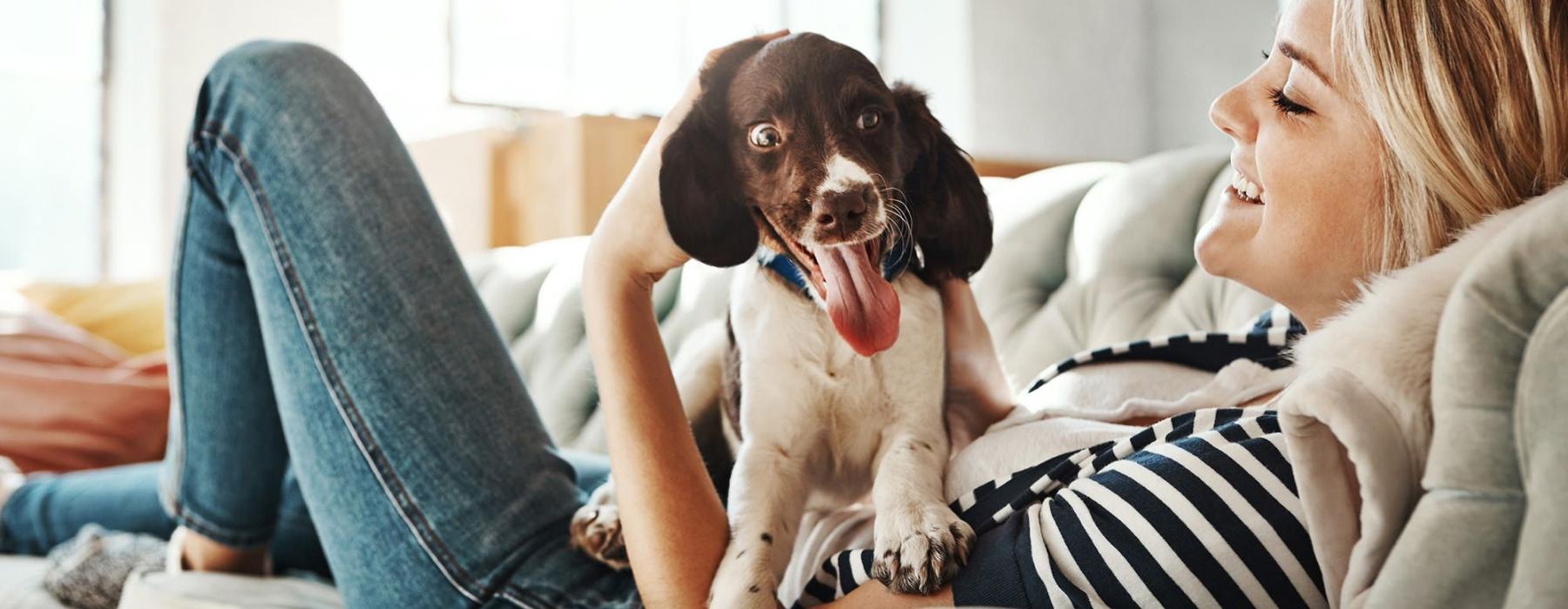 woman lies on a couch and pets her dog